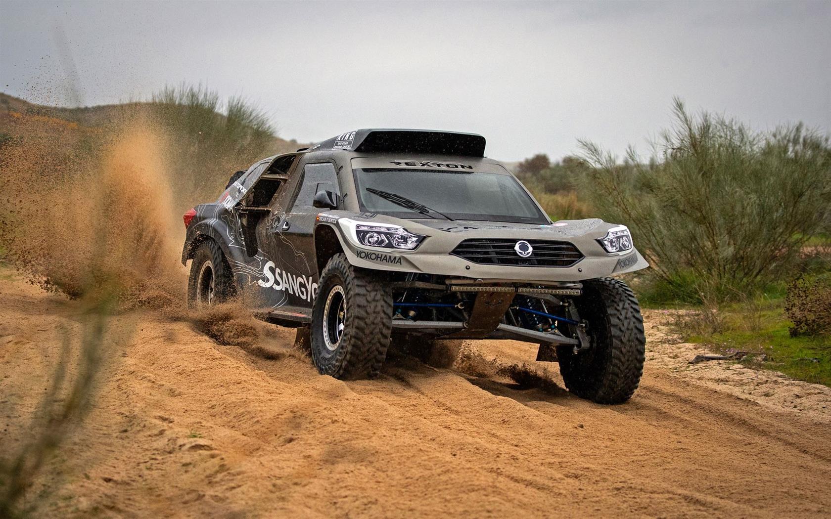 2019 Ssang Yong Rexton DKR